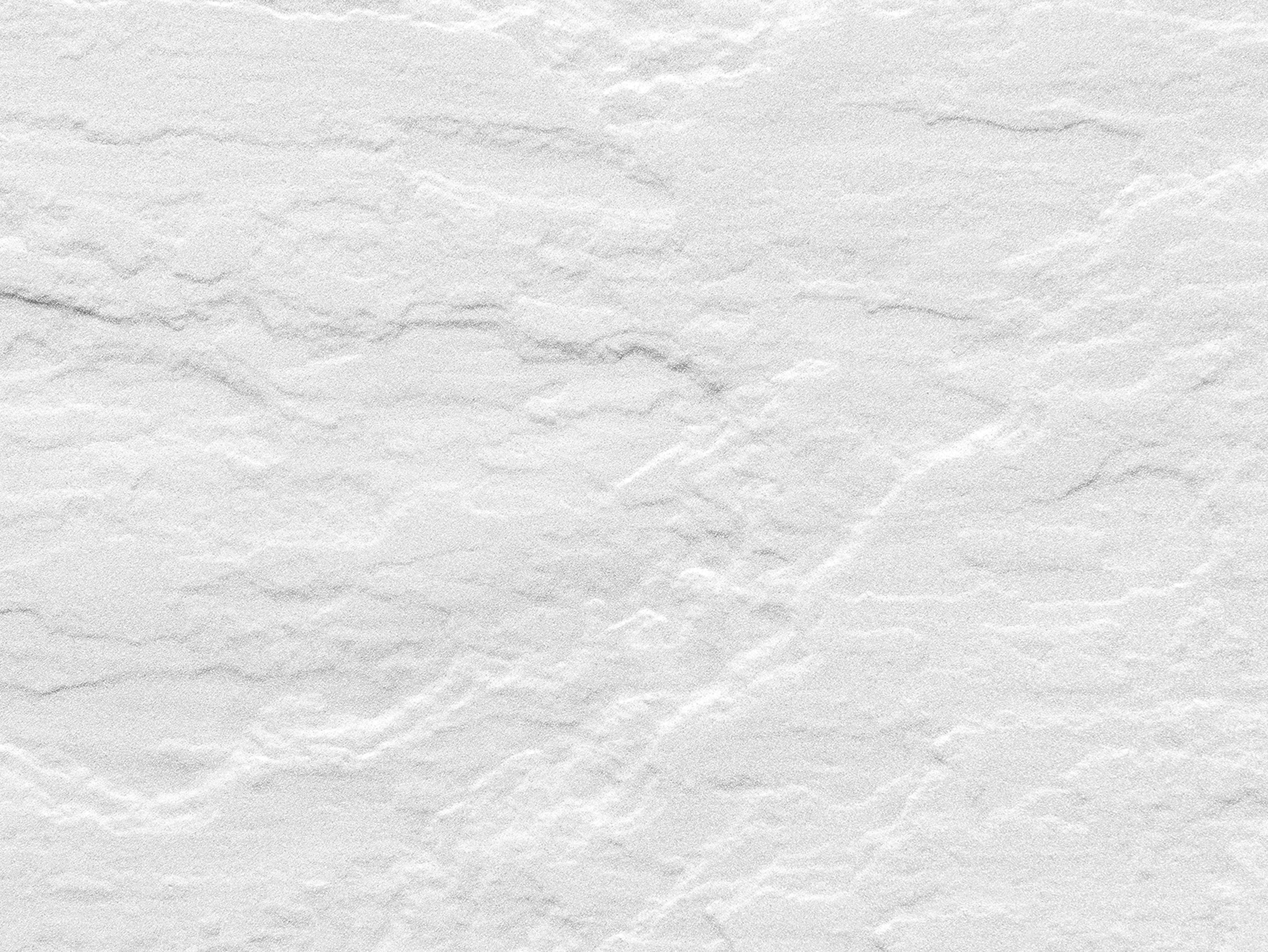 Astragalus Memeranaceus Polysaccharides